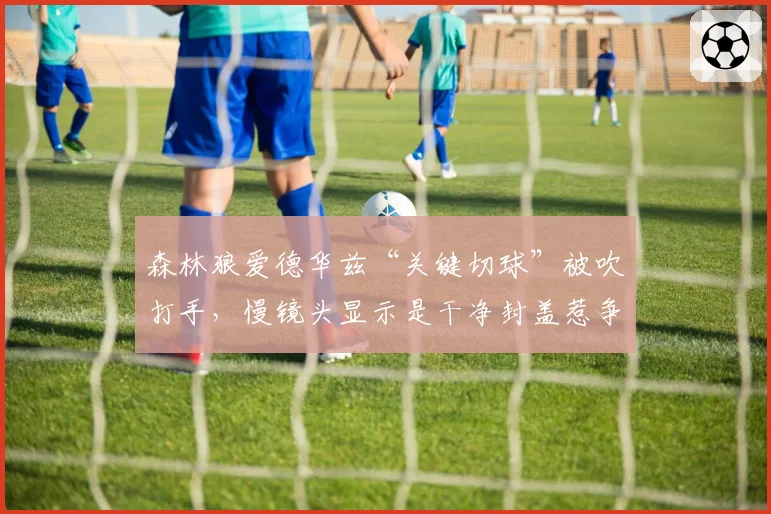 森林狼爱德华兹“关键切球”被吹打手，慢镜头显示是干净封盖惹争议