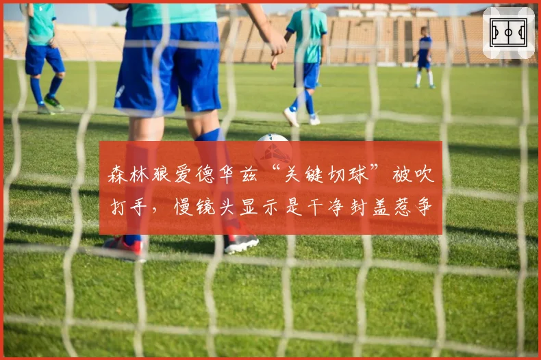 森林狼爱德华兹“关键切球”被吹打手，慢镜头显示是干净封盖惹争议