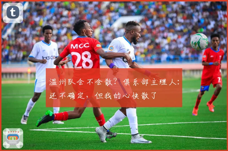 温州队会不会散？俱乐部主理人：还不确定，但我的心快散了
