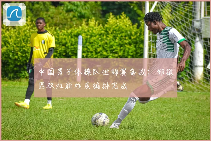 中国男子体操队世锦赛备战：邹敬园双杠新难度编排完成